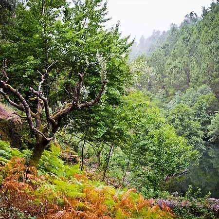 Quinta Costa Do Acude Sipote