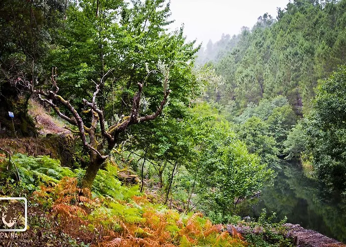 Quinta Costa Do Acude Sipote